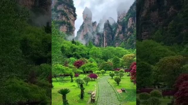 Лесной парк Чжанцзяцзе, Китай