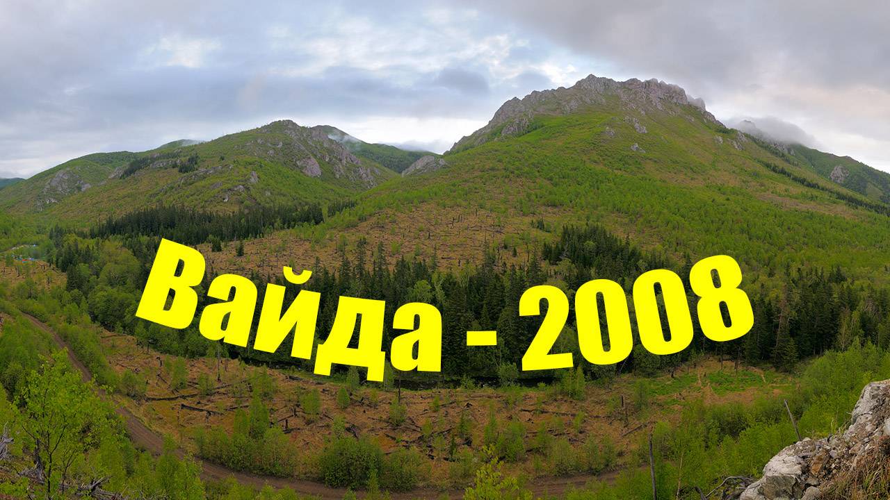 Вайда – 2008