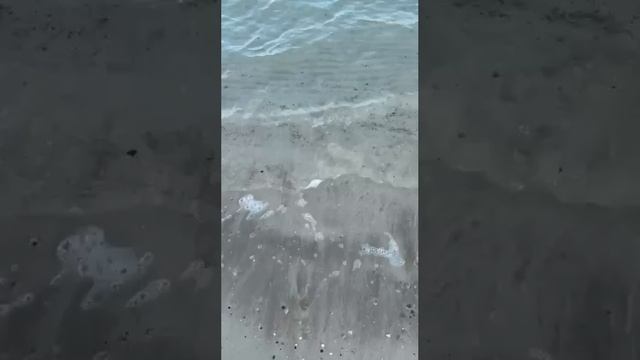 Обзор отеля в Абу-Даби