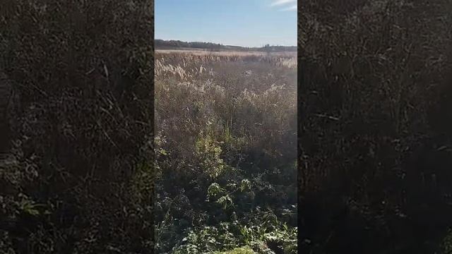 г. Можайск, д Прудня 50:18:0070435:899