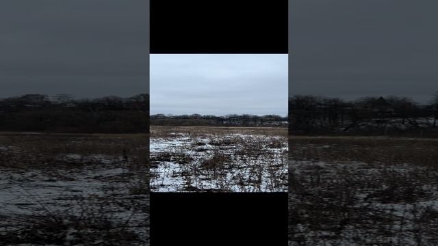 Участок 5,2 га сельхоз назначения (свет, газ по границе) в с. Б.Каринское, Александровский район