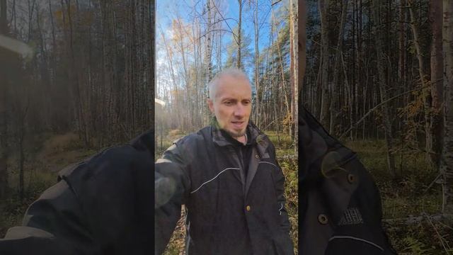 Быстрый или медленный результат