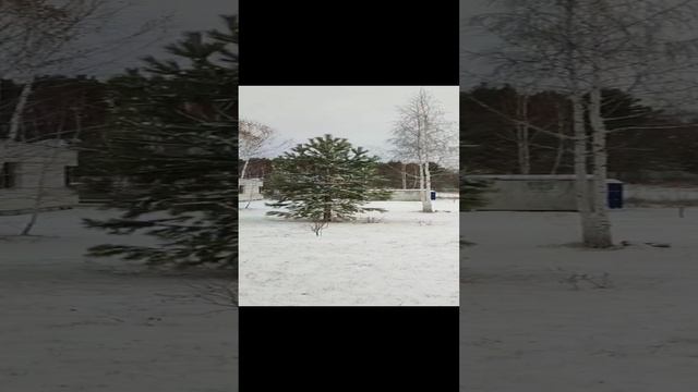 В деревне зима