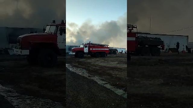 В Переволоцком районе сгорел птицекомплекс