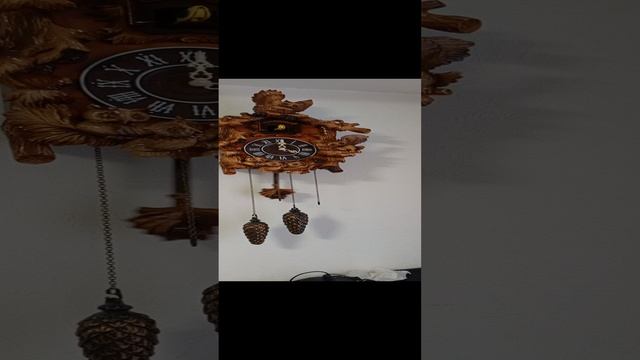 VID_20241204_160052