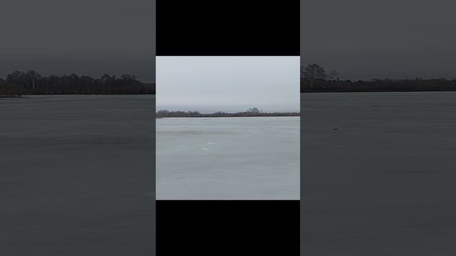 ходим по пруду в апреле ))