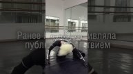 Шокирующая трансформация: Глюкоза избавилась от волос и сделала пирсинг