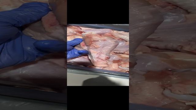 Плечо индейки охлажденное. Связь - https://t.me/MyasoEmEd