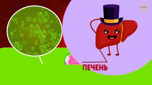 что же в вашем теле же есть?(адми(adme ) "про тело