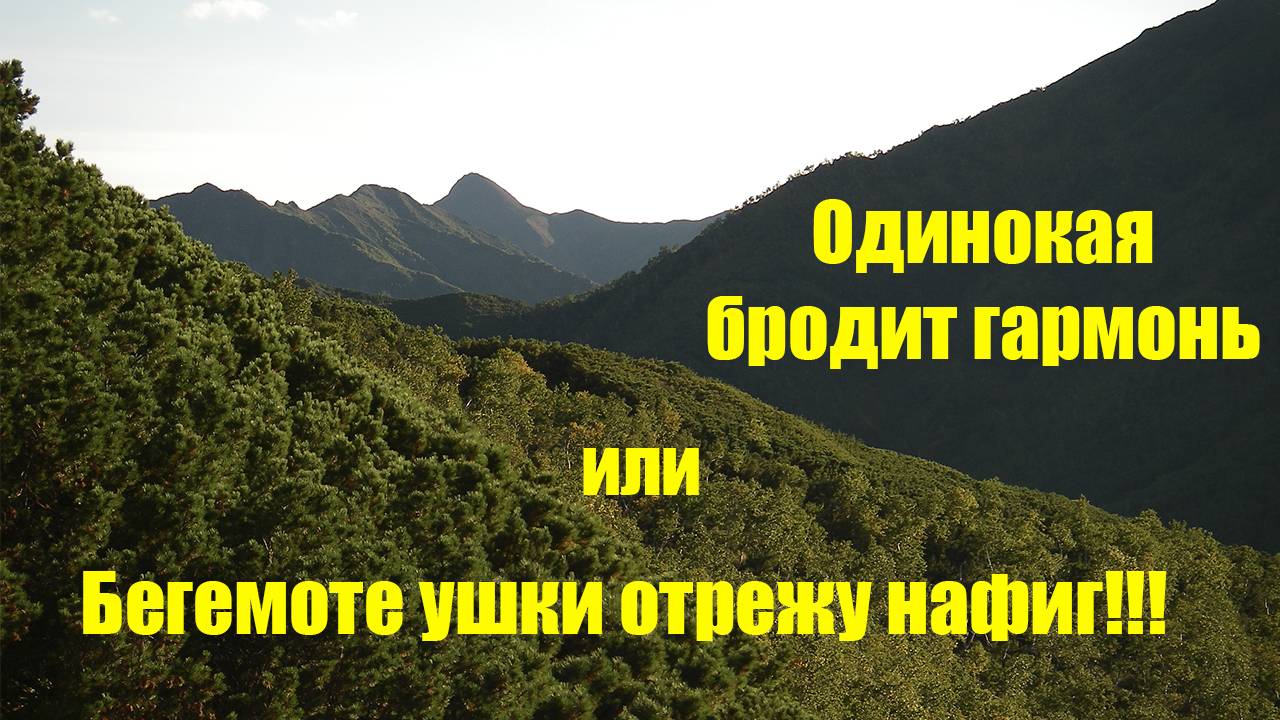 Одинокая бродит гармонь – 2007