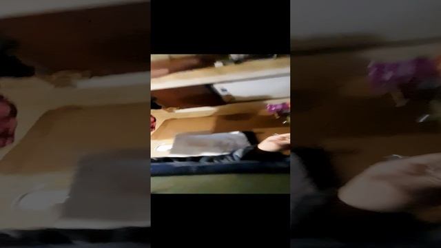 1000034469.mp4₽/@."Кормушка".04.12.2024г.