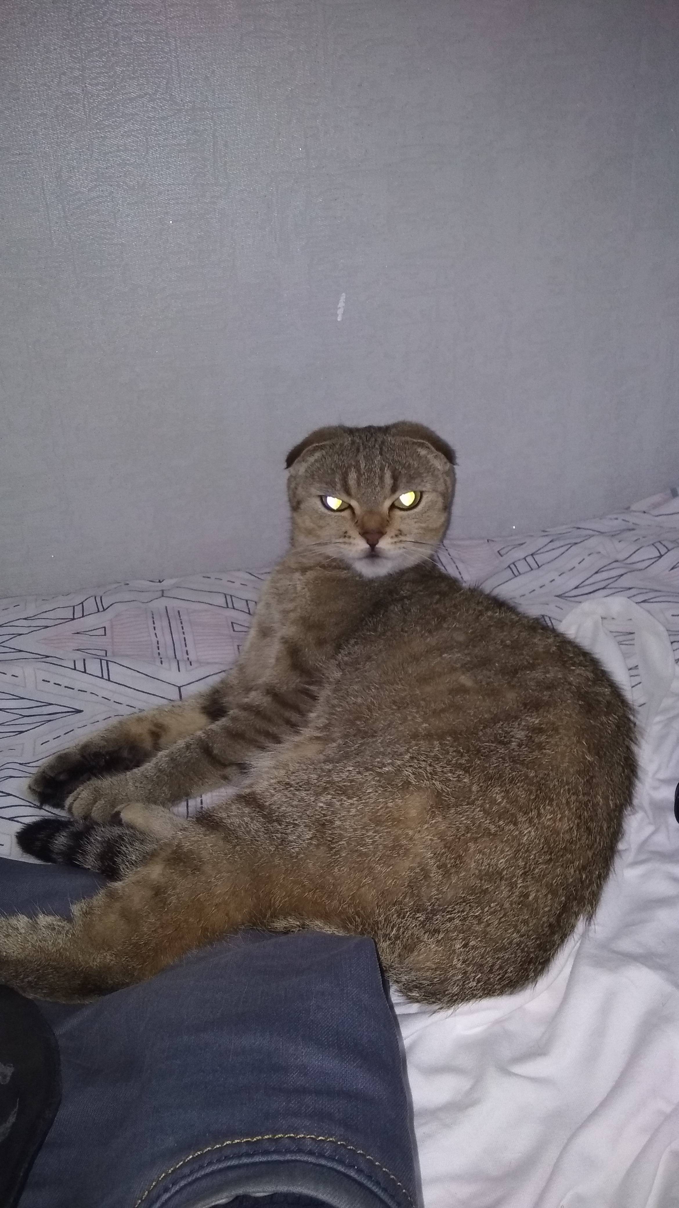 Я тута главнюк !...☺ 😊 🐻😻 😍
Улыбнуло? Поддержи Автора:
2200030542971701