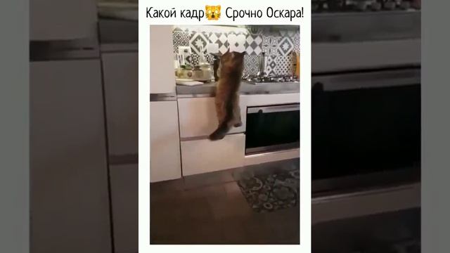 Любоф