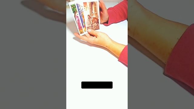 ВАЖНЫЕ РЕШЕНИЯ В ДЕКАБРЕ ДЛЯ МУЖЧИН-ЛЬВОВ