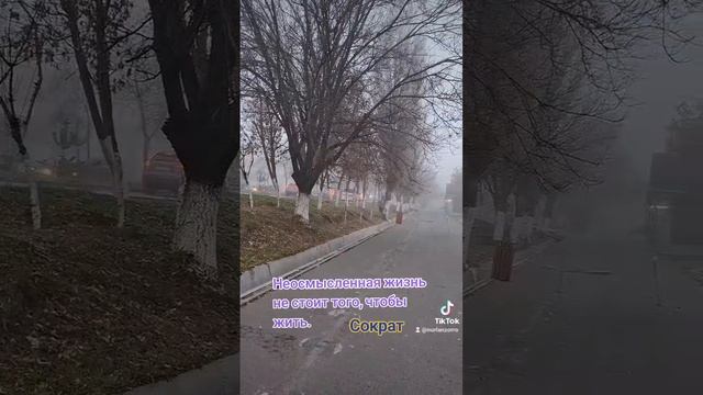 Мудрые слова.