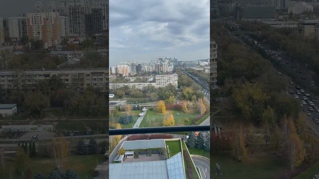 Труд облагораживает человека #пробудильник #чтопосмотреть #казахстан #алматы