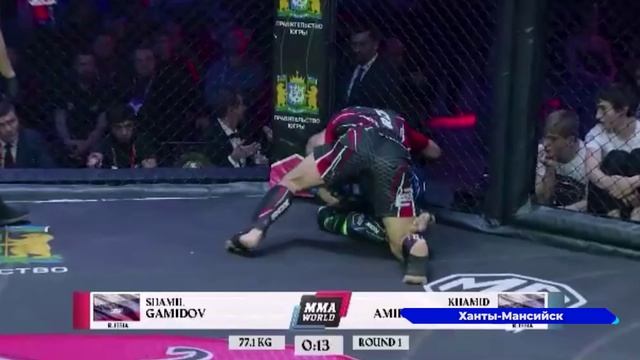 Первый в истории нижегородских спортсменов ММА Шамиль Гамидов завоевал серебро на мировой арене