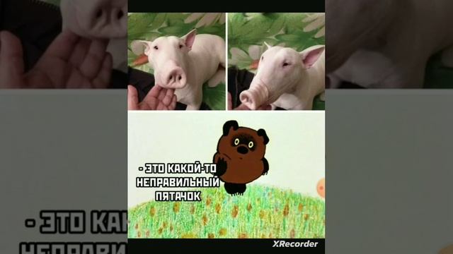 мемы 2024#смешно#аххааххахахахахахах#shorts