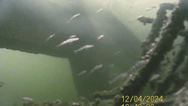 1000034457.mp4Волга гл 5м.04.12.2024г.