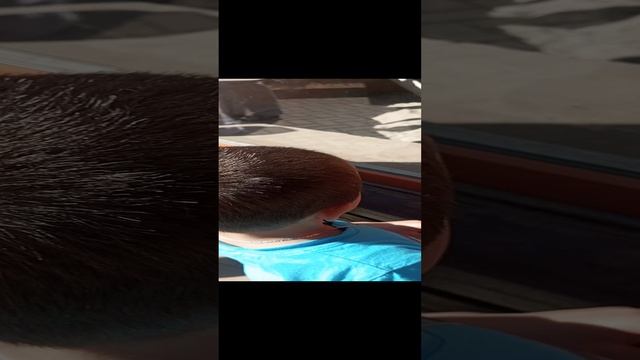 зоопарк.mp4