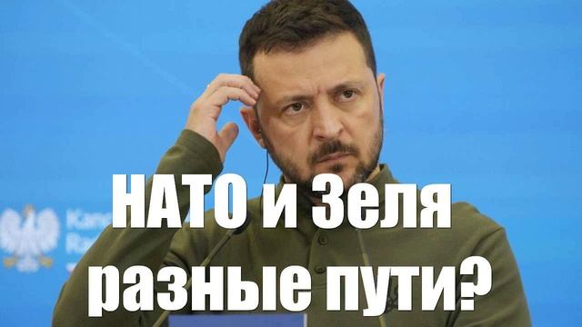 Планы НАТО и Зеленского начали конфликтовать
