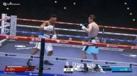 Undisputed Boxing Thunder vs Hitman Pro Difficulty Only