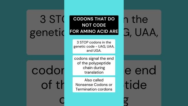 Nonsense codons |Stop codons | Codons that do not code for amino acid