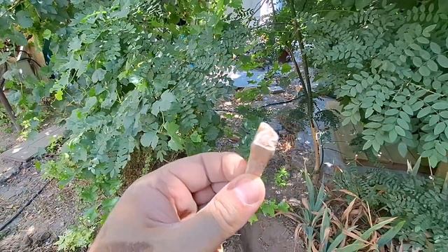 Дом своими руками, канализация (1 часть)