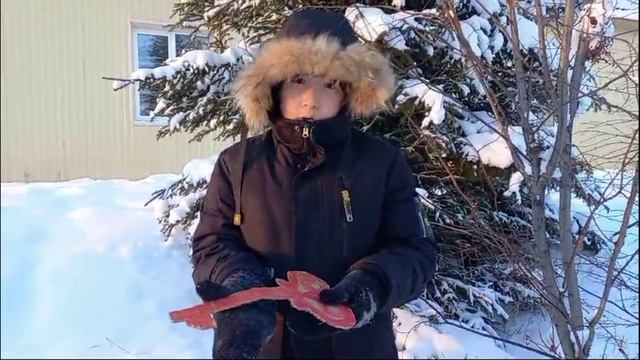 Видеоролик "Новогоднее чудо"
