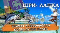 ШРИ- ЛАНКА 2025| Климат и сезонность. Когда лучше отдыхать на Шри- Ланке