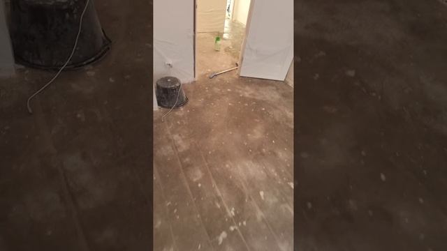 1000089166.mp4
