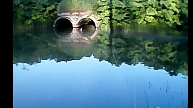 Утки, вода, рыбалка. Ducks, water and fishing