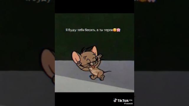 5e0b629a3efc351af1d748ca0025fe03_1731578811443.mp4