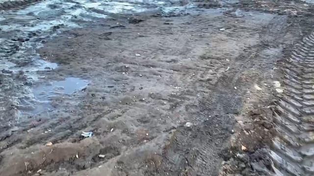 Продолжение “мусорной истории” на Международной (2).