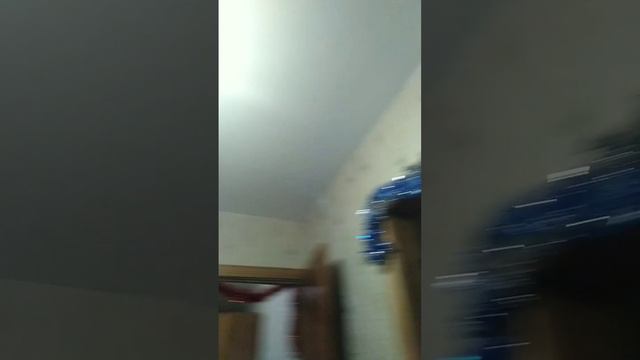 scene_output.mp4