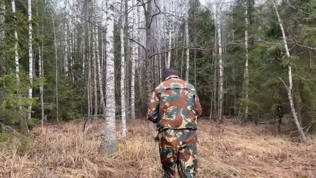 Грибной сезон 2024!!! Экстремальный сбор грибов!!! На этот раз точно закрытие сезона)))!!!