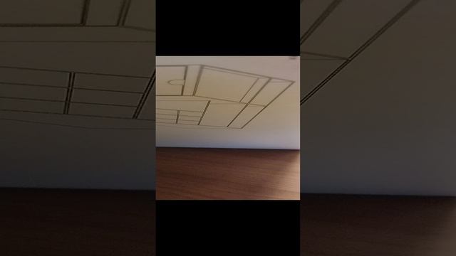 Мне пришёл органайзер