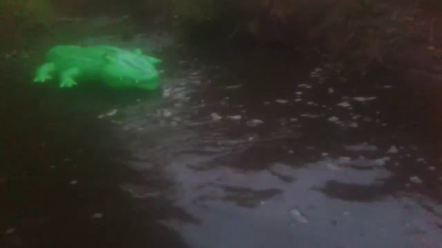 INTEX 58562 - Inflatable Big Beach Green Crocodile 203 CM Floating on the River  - 4.06.2018