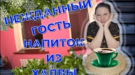 ТЮЛЬПАНЫ К ПОСАДКЕ/ЧУЖОЙ В САДУ/НАПИТОК ИХ ХАЛВЫ/НА ДАЧЕ ИСПЫТАЛА ПЕРЧАТКИ