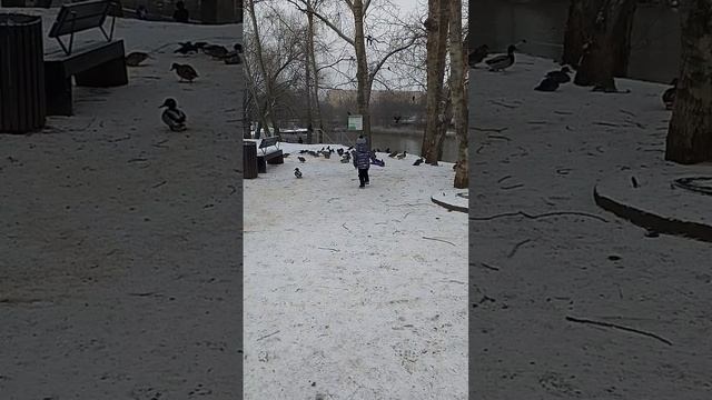 Мухаммад Али