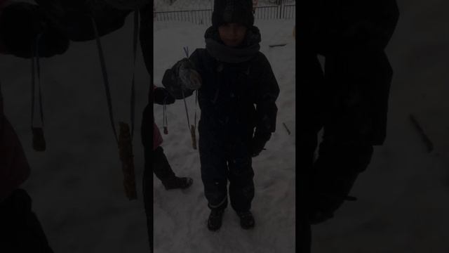 Трудно птицам зимовать