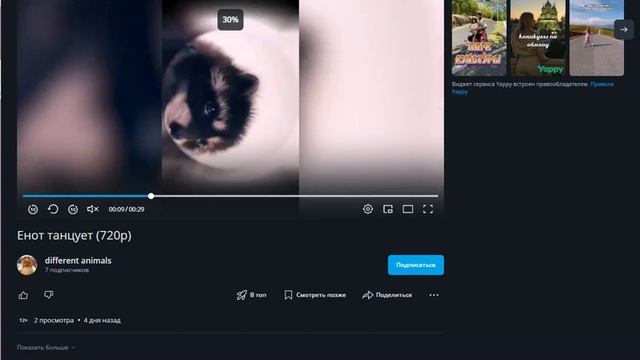 Видео-02-12-2024 190023