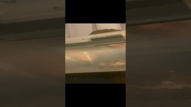 Первое видео😂