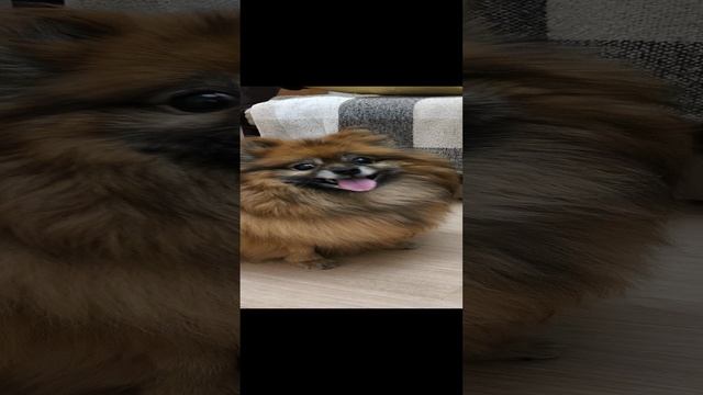 1000001815.mp4