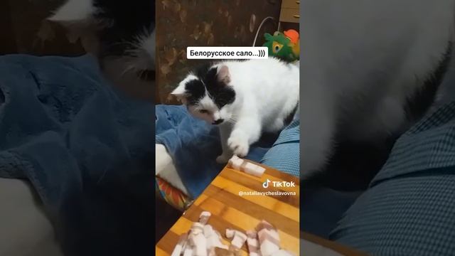 Белорусское сало...)))