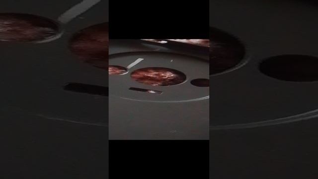 VID_20241203_134533