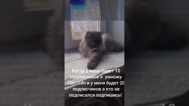 подпишись пожалуйста🙏🙏