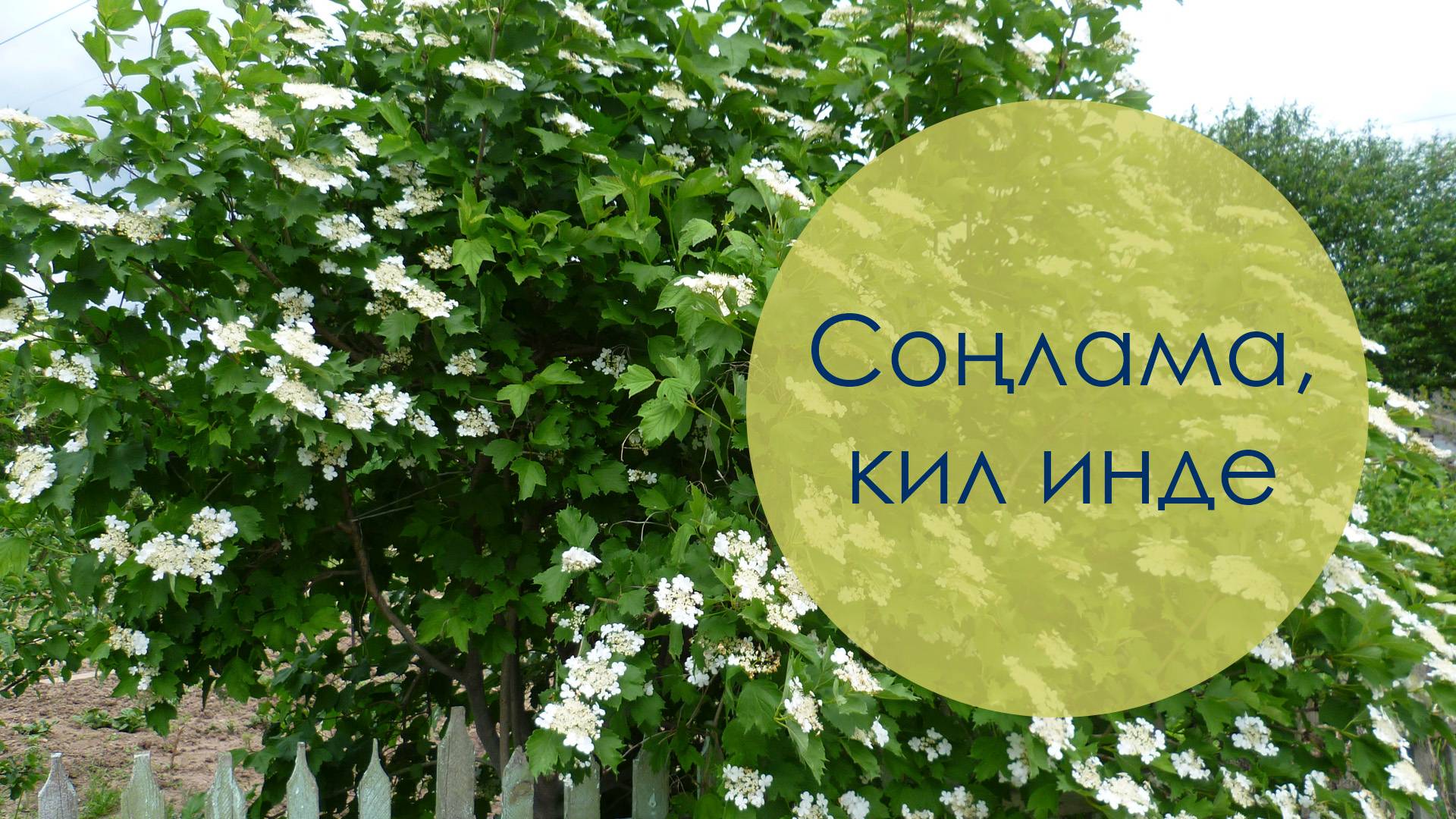 Соңлама, кил инде. Бәхти Гайсин көе, Рагидә Янбулатова сүзләре. Жырнын сузлэре видео астында.