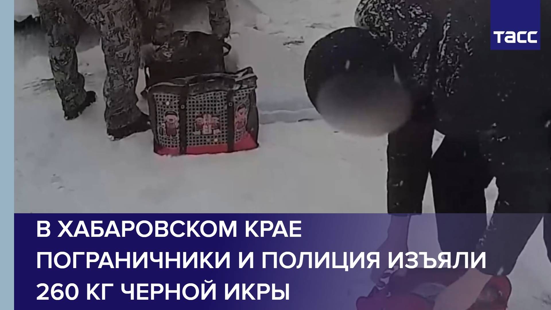 В Хабаровском крае пограничники и полиция изъяли 260 кг черной икры