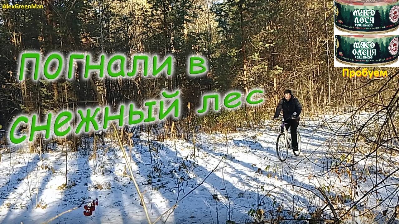 Погнали в снежный лес. Обедаем с собакой